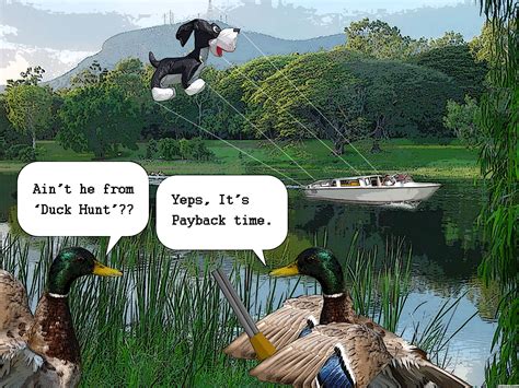 Duck Contest Pictures Made With Photoshop Image Page 2
