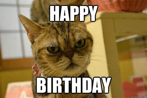 Happy Birthday Angry Cat Quickmeme