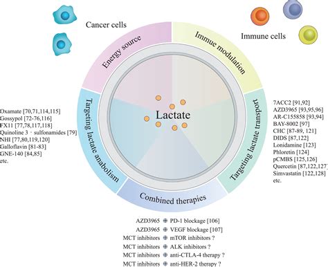 Lactate In The Tumour Microenvironment From Immune Modulation To