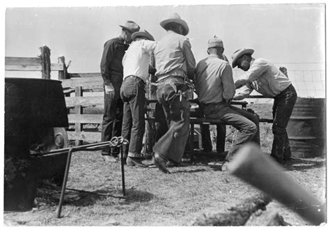 Cowboys Around A Cattle Branding Station Side 1 Of 2 The Portal