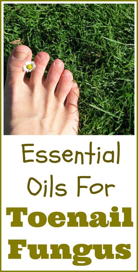 Essential Oils Good For Toenail Fungus Essential Oils Toe Nails