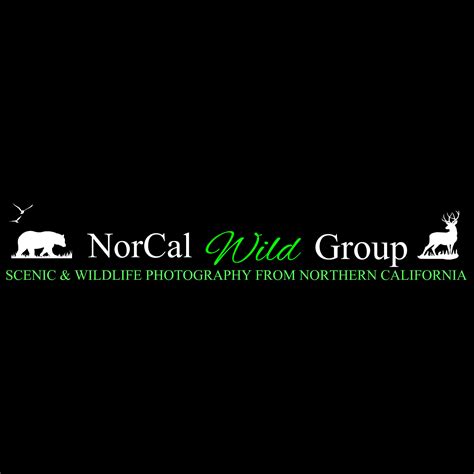 Norcal Wild Group