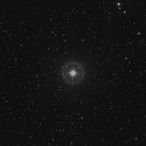 33 Cygni Star In Cygnus