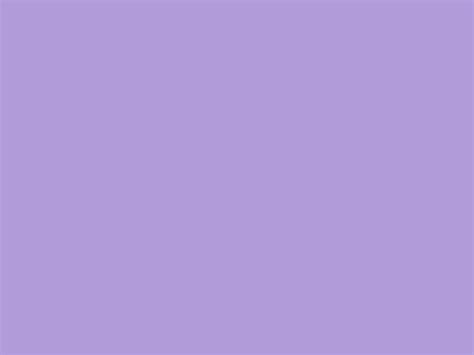 1024x768 Light Pastel Purple Solid Color Background