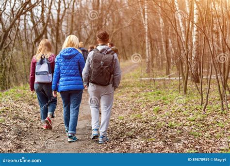 Group Of Friends Walking With Backpacks In Spring Forest From Back Backpackers Hiking In The