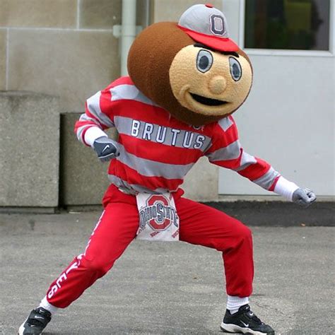 91 Best Images About Brutus Buckeye On Pinterest College Football