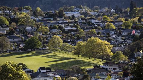 Fomo Being Replaced With Fear Of Overpaying In Nelson Property Market