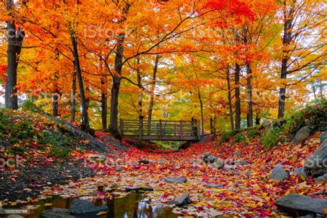 Beautiful Fall Foliage In The Northeast Usa Stock Photo