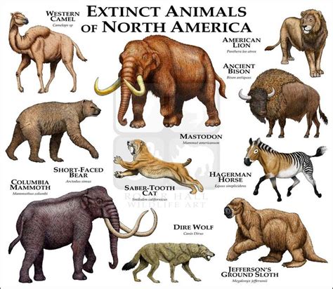 135 best Extinct Species images on Pinterest | Extinct animals, Rare