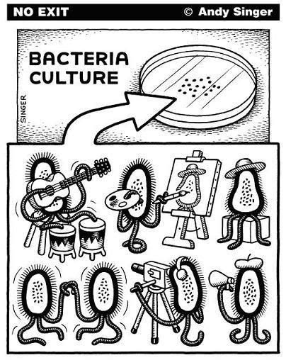 We worry about the consequences of cancel culture. Bacteria culture | Funny | Pinterest