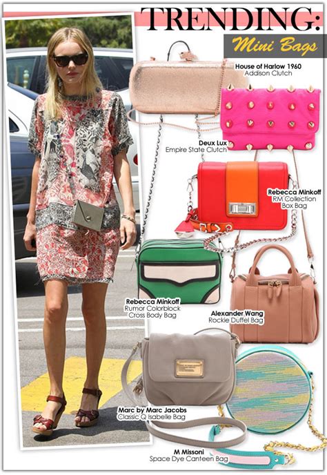 Trending Mini Bags Celebrity Style Guide