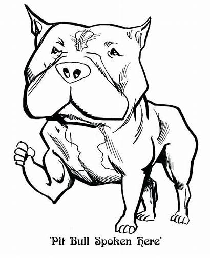 Pitbull Coloring Pages Bull Dog Sketch Drawing