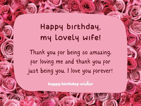 Happy Birthday My Lovely Wife Happy Birthday Wisher