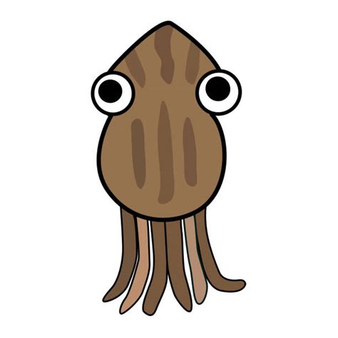 40 Baby Squid Stock Illustrations Royalty Free Vector Graphics And Clip