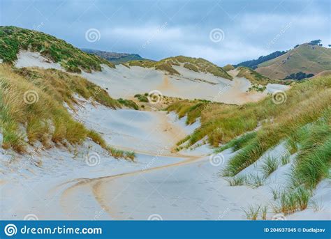 Sand Duens At Sandfly Bay In Otago Peninsula New Zealand Stock Image Image Of Sandfly Scenic
