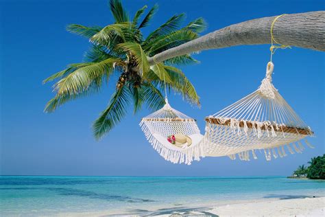 Tropical Beach Hammock Wallpaper Background 1 Beach Hammock Hammock