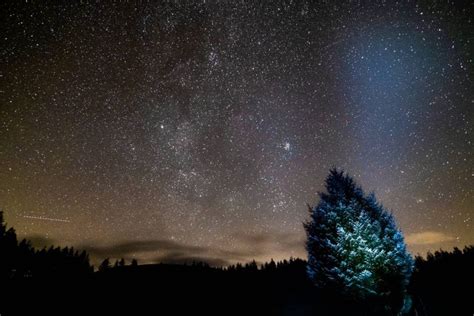 16 Dark Sky Escapes In South Scotland Visitscotland Forest Park