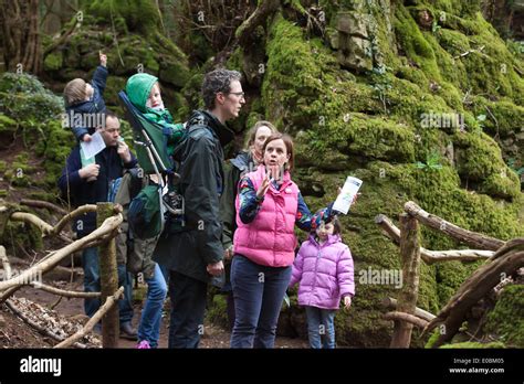 Puzzlewood Forest Of Dean Gloucestershire England Uk Stock Photo