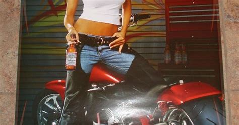 Top 100 Beer Girl Posters Budweiser Poster Girl Get Domain Pictures