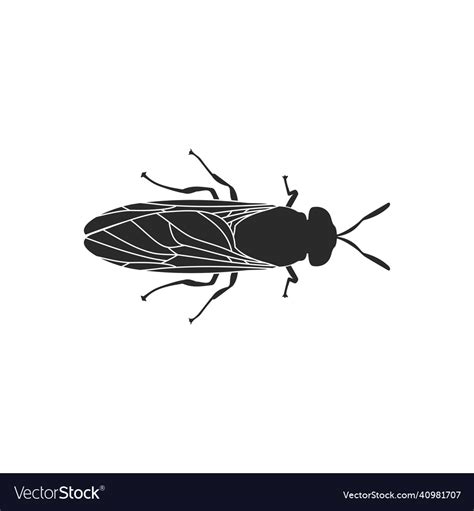 Flies Silhouette Fly Silhouette Royalty Free Vector Image