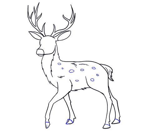 How To Draw A Deer In A Few Easy Steps Easy Drawing Guides