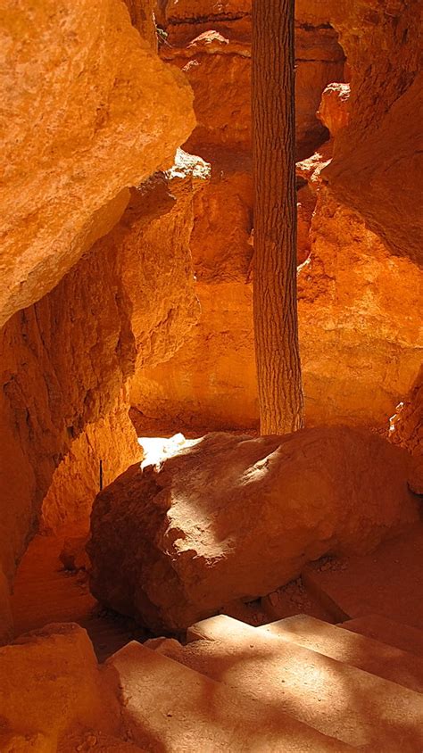Check spelling or type a new query. Wall Street Section - Navajo Loop Trail - Bryce Canyon Nat ...