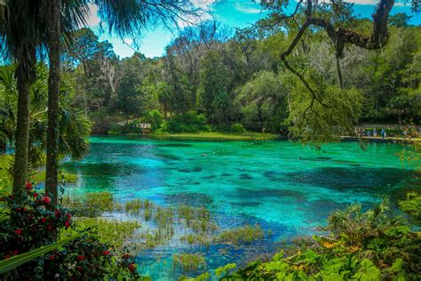 The Springs Of Florida — Miles 2 Go Rainbow Springs State Park State
