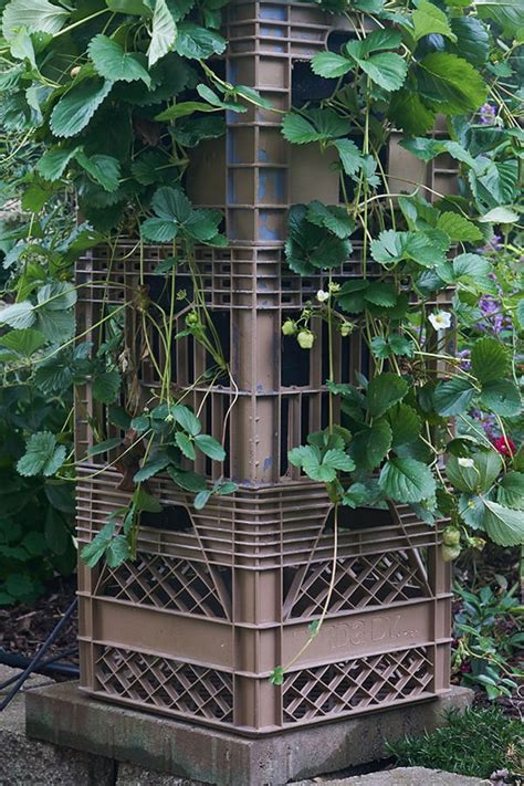 5 Clever Diy Tower Garden Ideas To Make The Most Of Your Space