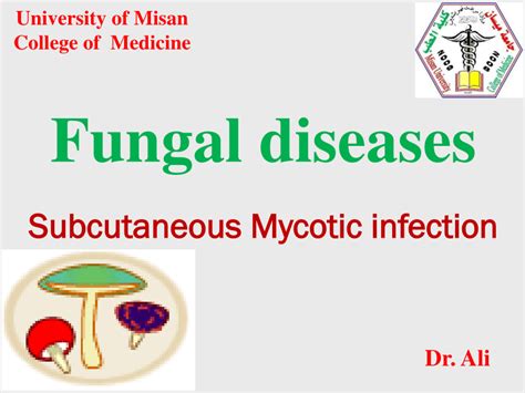 Pdf Fungal Diseases Subcutaneous Mycotic Infection