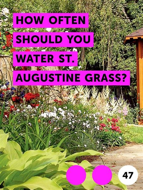 They have a hollow bar perforated with holes they generate a spray that oscillates back and forth, providing enough water to cover a 20ft x 30ft rectangular area, distributing water in a fan motion. How Often Should You Water St. Augustine Grass? | Lawn care tips, Planting grass, Lawn care