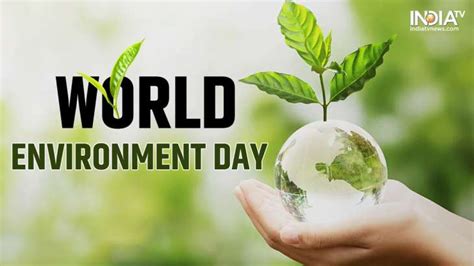 World Environment Day Date Theme History Significance Other