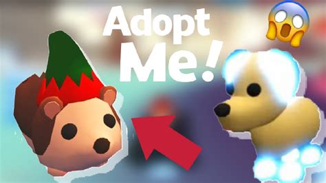 Buying The New Elf Hedghog And Making My First Neon Pet Youtube