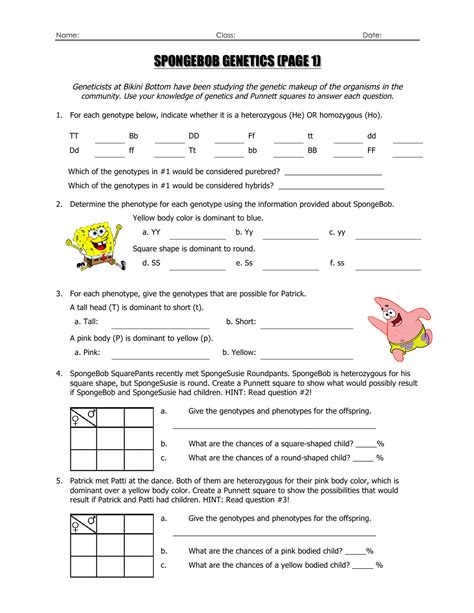 Welcome to the new coralwatch ambassadors! Spongebob Genotype Worksheet Answers — db-excel.com