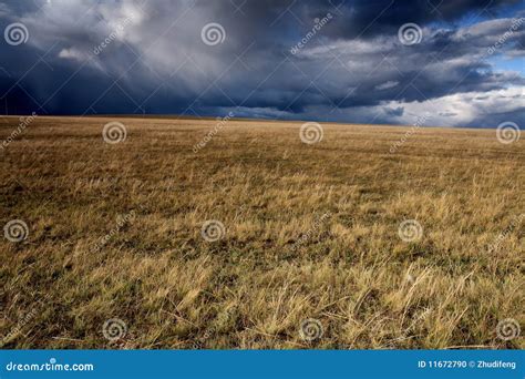 Cloudy Sky And Meadow Stock Photo Image Of Rural Blue 11672790