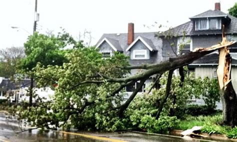 We will send out one of our certified arborists to do an assessment of your tree. Storm Damage Phoenix, AZ - Arbor Tree Care