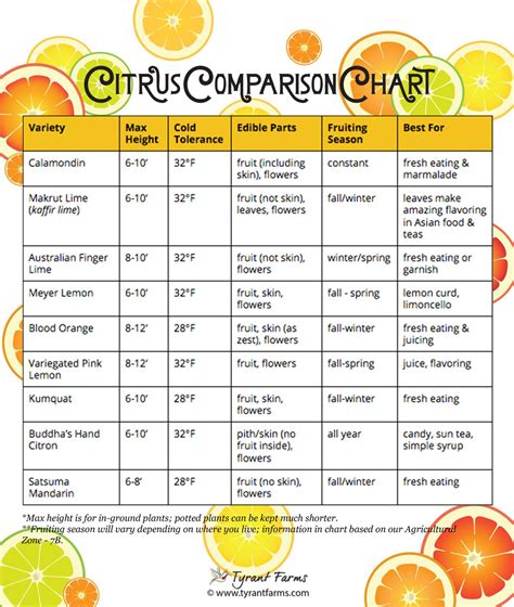 Lemon Tree Size Chart