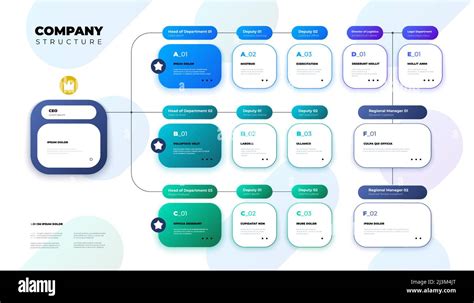 Company Structure Business Organization Scheme Infographic Corporate