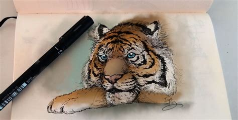 Sketchbook Tiger Portrait By Izapug On Deviantart