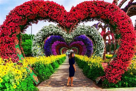 Dubai miracle garden has more than 45 million flowers. Dubai Miracle Garden » UAE WAVE - Dubai Attractions
