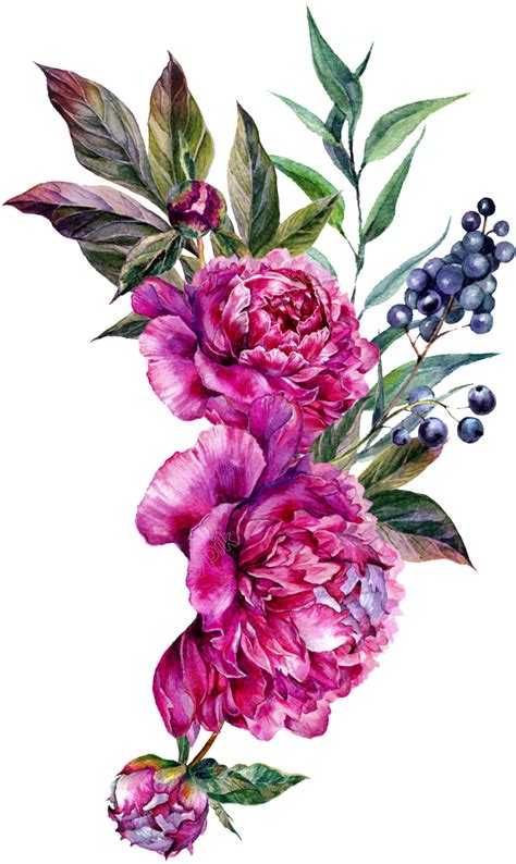 Image Result For Flower Vector Рисунки цветов Цветочные фоны