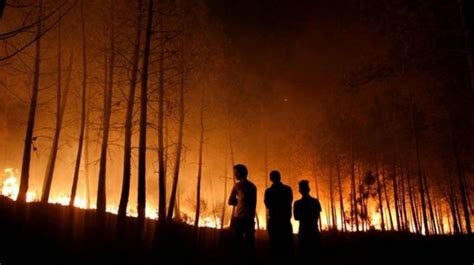 Sumsel Jadi Proyek Cegah Kebakaran Hutan Dan Lahan Berbasis Klaster