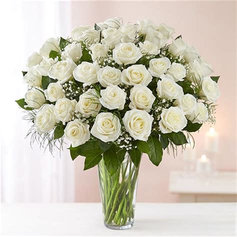 Color • common name • scientific name • family • month. Abington, PA Same-Day Same-Day Flower Delivery Delivery ...