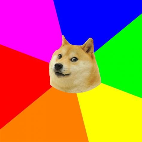 Advice Doge Meme Generator Doge Meme Doge Rainbow Dog