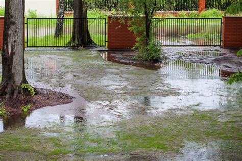 The goal is to drain flooded areas of your yard and to prevent water from moving toward the house's foundation. When and Why You Should Consider Adding a Drainage System to Your Yard…