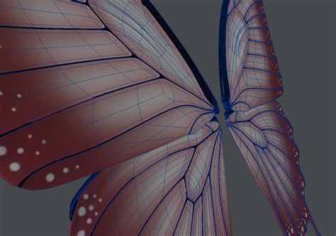 3d Set Fairy Butterfly Wings Turbosquid 1297794