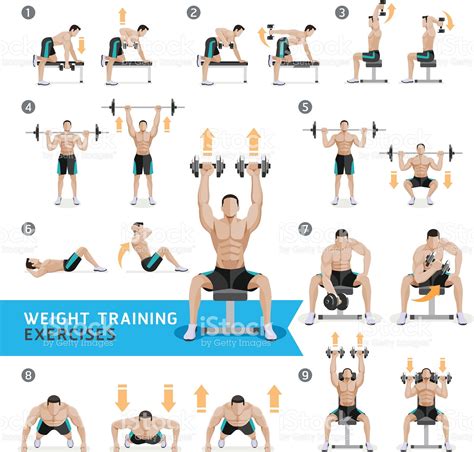 Dumbbell Exercises And Workouts Weight Training Dumbbell Workout