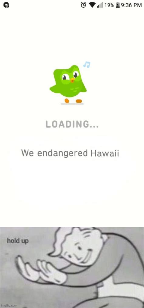 Oh No I Live In Hawaii Imgflip