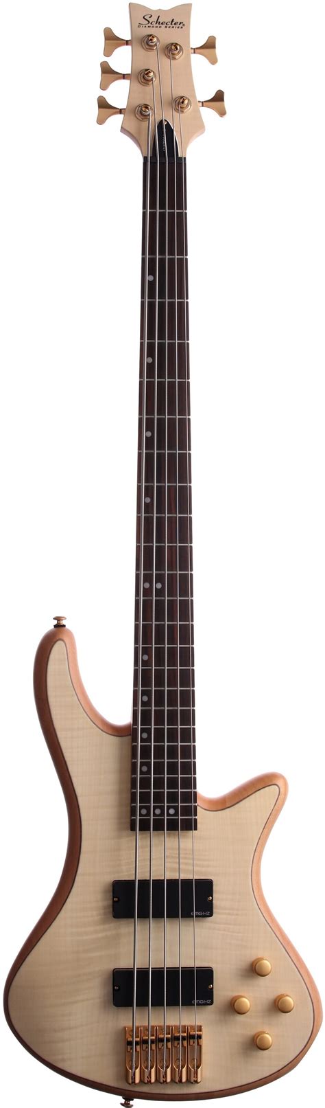 Schecter Stiletto Custom 5 5 String Bass Zzounds