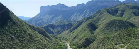 La Mejor Guía De La Reserva De La Biosfera Sierra Gorda En México