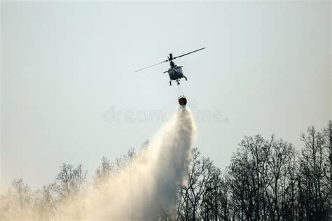 Helicopter Dropping Water On Forest Fire Stock Photo Image Of